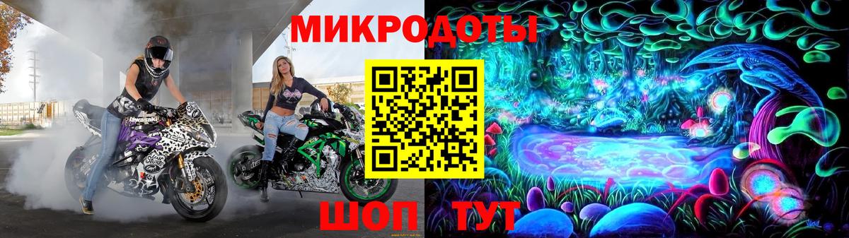 Галлюциногенные грибы Cubensis Будённовск